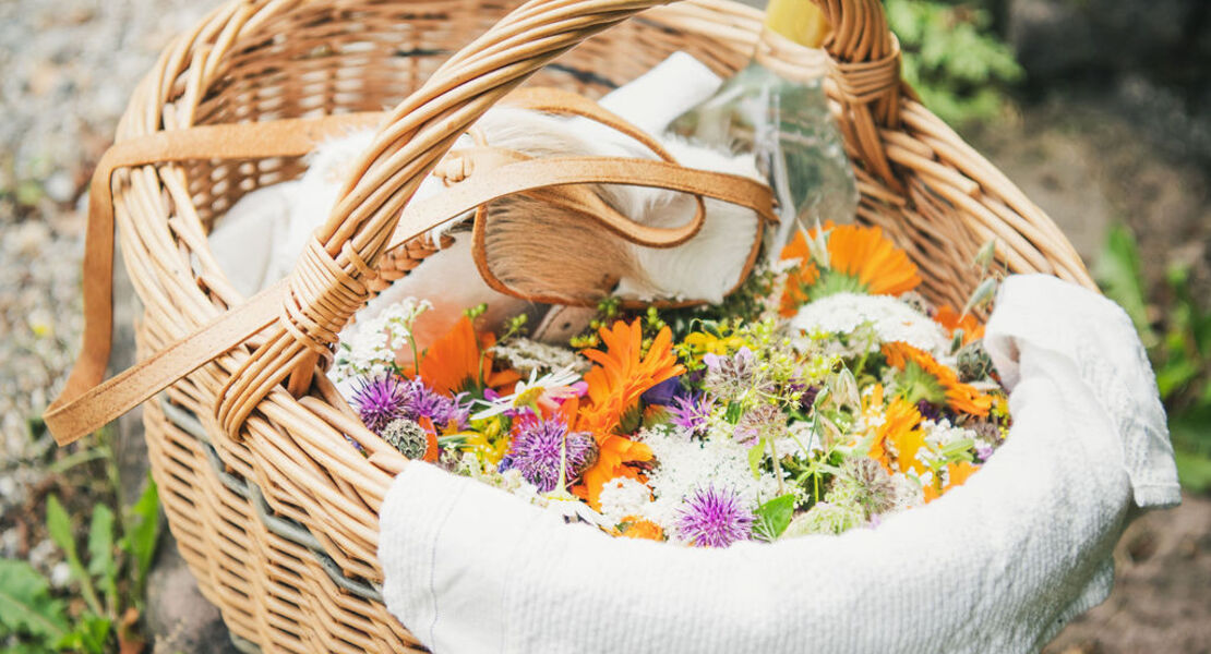 wildkrauterfuhrungen-in-bad-liebenzell-mit-roswitha-hild