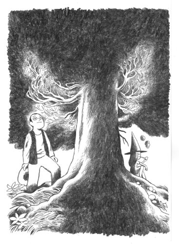 sascha-hommer-das-kalte-herz-als-graphic-novel