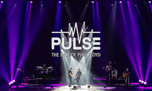 Pulse - The Best of Pink Floyd - Acoustic Side Of The Moon