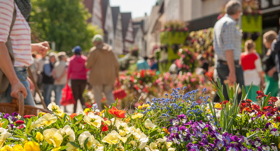 nagolder-gartenmesse-keramika-und-bauernmarkt