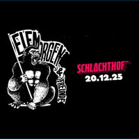 ELFMORGEN & FREUNDE Vol. 7