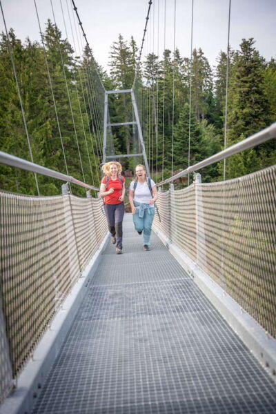 2-globetrotter-wandertage-schwarzwald-wanderung-das-wildseemoor-und-seine-geheimnisse
