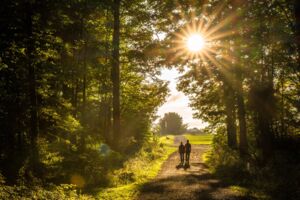 Geführte Wanderung: 