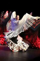 15. Stuttgarter Flamenco Festival 2025