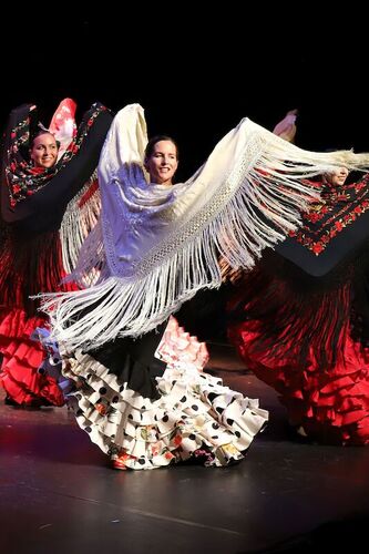 15-stuttgarter-flamenco-festival-2025
