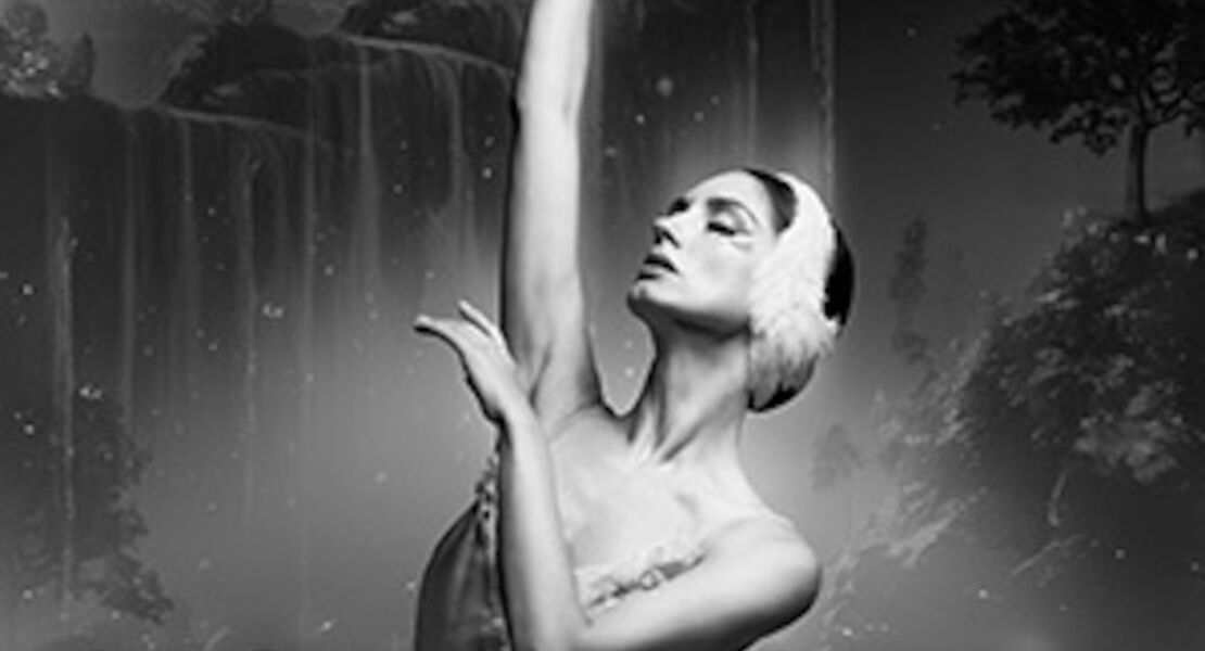 schwanensee-jenseits-der-buhne-mit-live-streichquartett