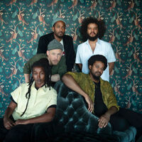 Irreversible Entanglements