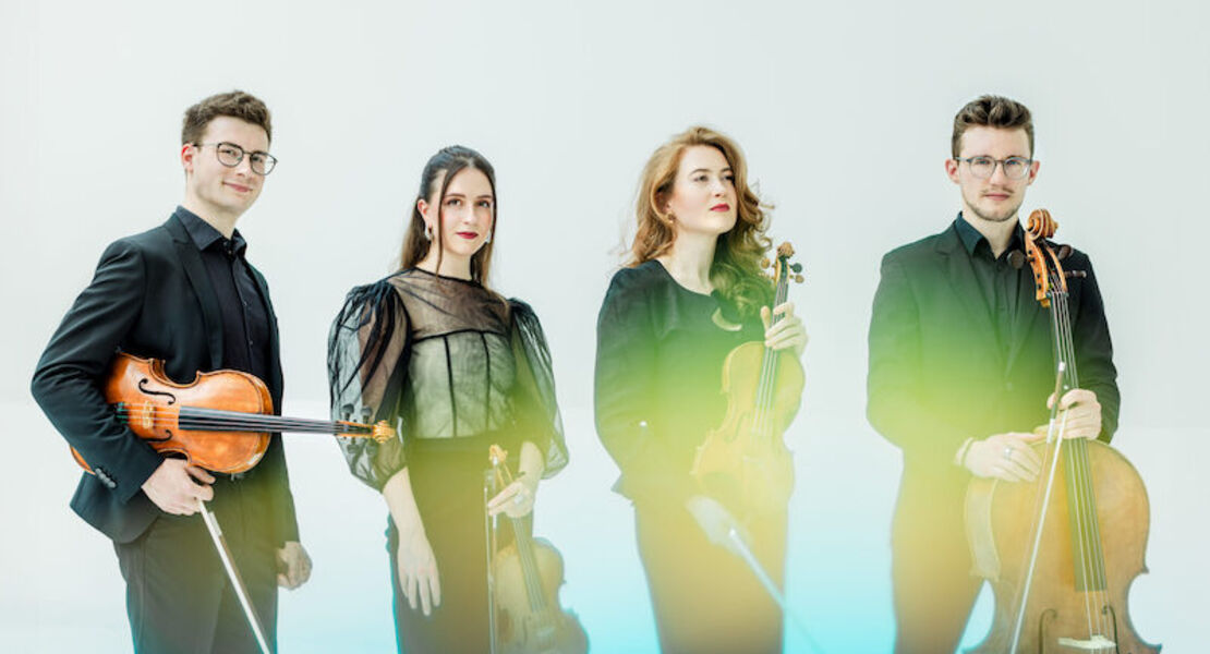 javus-quartett