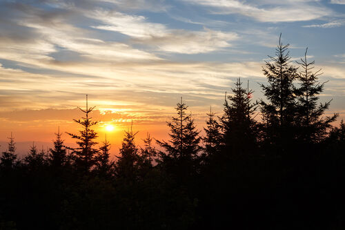 sonne-quell-des-lebens