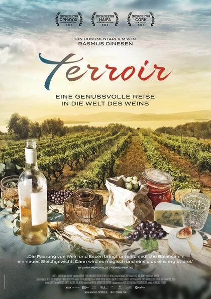 terroir-eine-genussvolle-reise-in-die-welt-des-weins