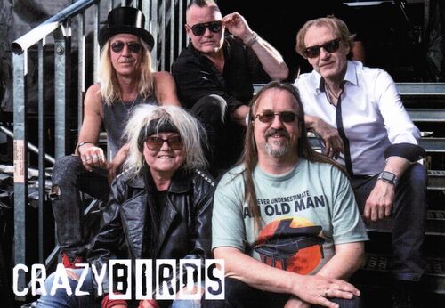 crazybirds-spielen-electra-songs-original