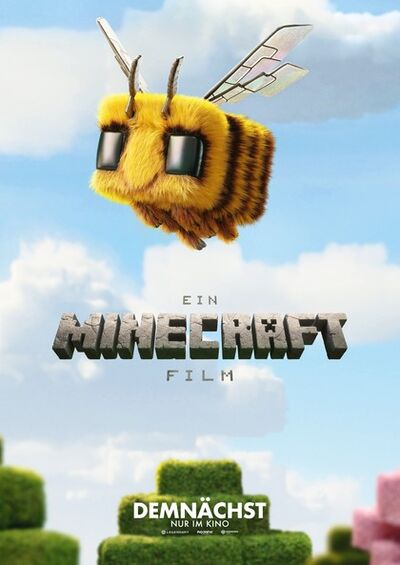 ein-minecraft-film