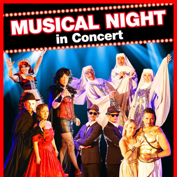 musical-night-in-concert