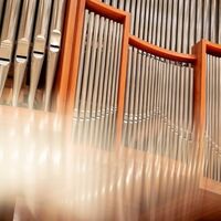 4. Orgel-Akzent  Junge Elite - Preisträger_innen aktueller Orgelwettbewerbe