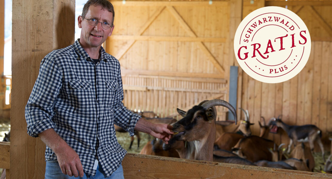 baiersbronner-schatze-roter-ziegenkase-mit-dost