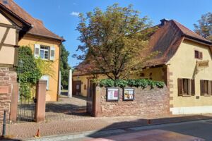 Vom kleinen Maulwurf, der wissen wollte, wer ihm auf den Kopf gemacht hat