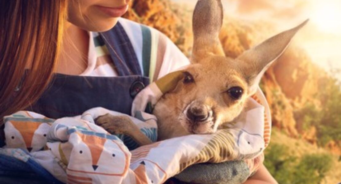 lilly-und-die-kangurus