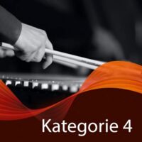 10er-Vorteils-Paket - Kategorie 4 - 10 Konzerte