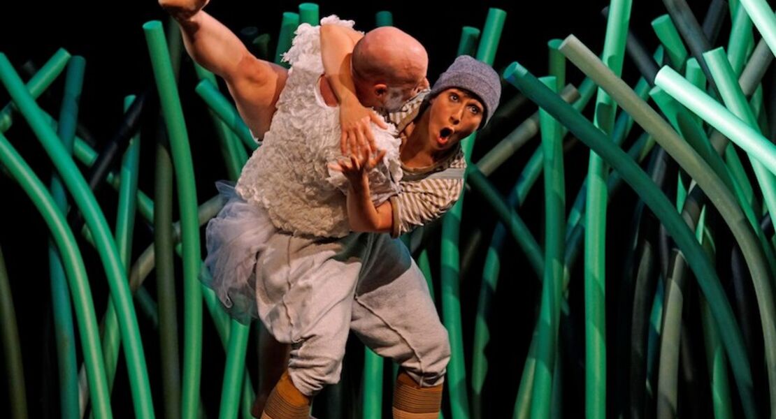 nils-holgersson-tanztheater-fur-menschen-ab-4-und-die-ganze-familie