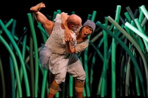 Nils Holgersson - Tanztheater für Menschen ab 4 und die ganze Familie