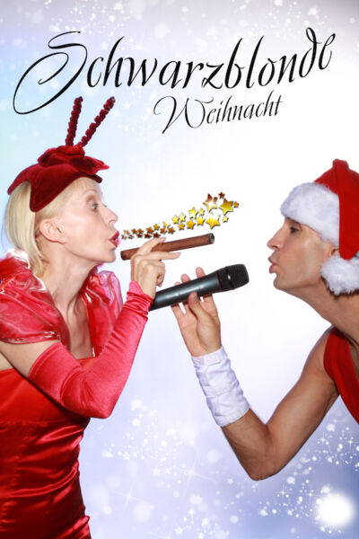 schwarzblond-schwarzblonde-weihnacht