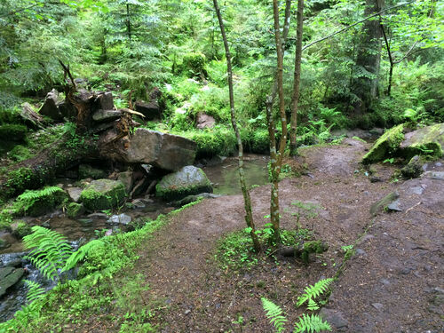 wandertour-unser-juwel-st-candidus-grosse-tour-mit-birgit-sonnenfroh