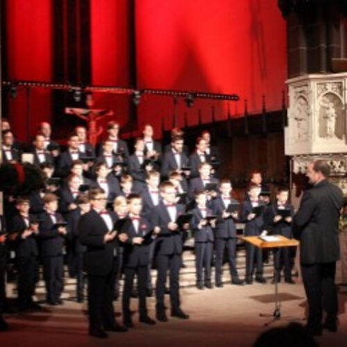 familientag-der-aurelius-sangerknaben-calw