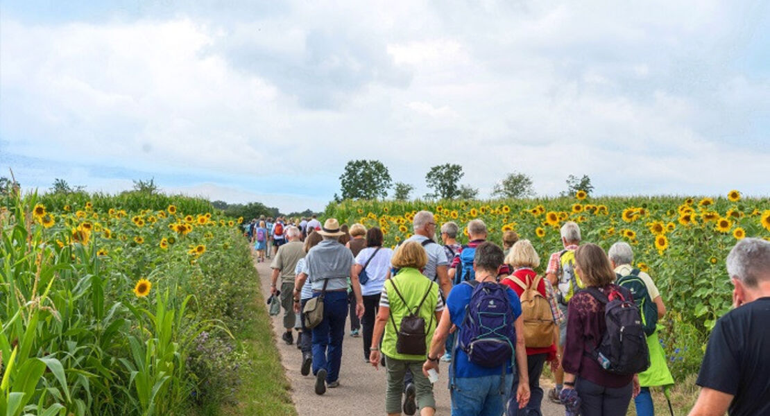 maulbronner-kammerchor-wanderkonzert-i