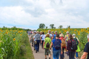 Maulbronner Kammerchor: Wanderkonzert I