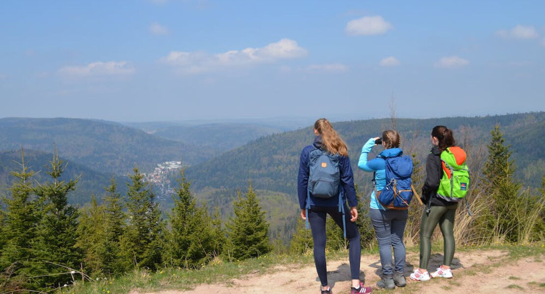 sportliche-wanderung-schwanner-warte