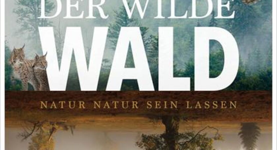 der-wilde-wald-natur-sein-lassen