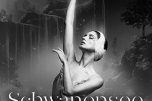 Schwanensee  Jenseits der Bühne mit live Streichquartett