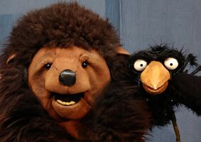 Krähe und Bär