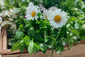 Fischer & Jung - Die Herren der Erschöpfung