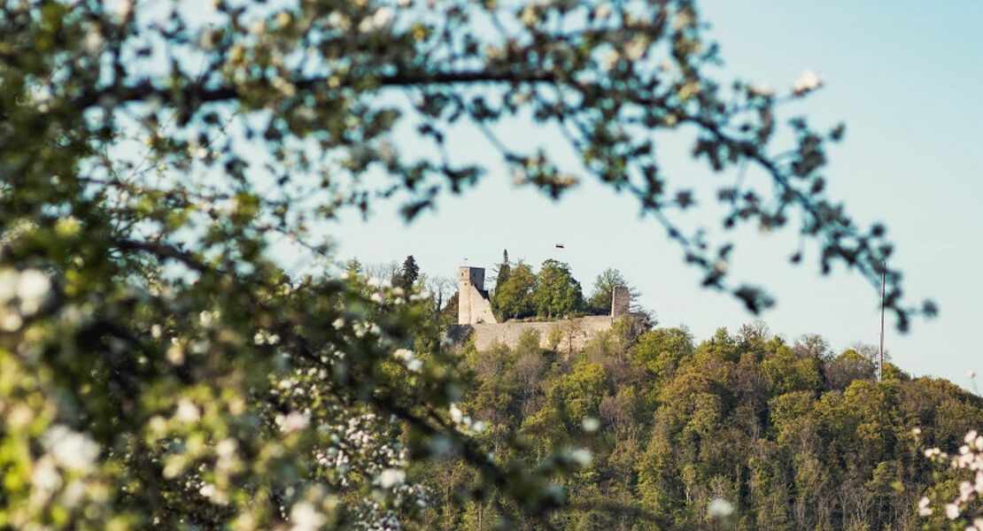 natouren-mit-schwarzwaldguide-thomas-buhler