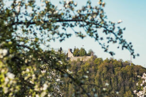 NaTouren mit SchwarzwaldGuide Thomas Bühler