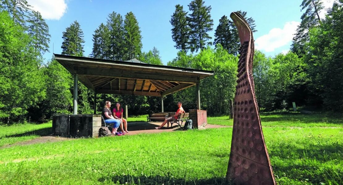 mit-dem-wellnesswald-fuhrer-unterwegs-gehen-sie-den-weg-des-waldes