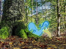Riesling extra trocken - Elwetritsche Jagd