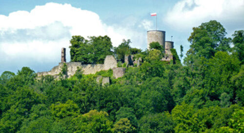 fuhrung-burgruine-hohennagold