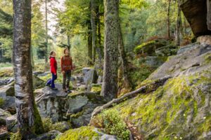 Geführte Wanderung: 