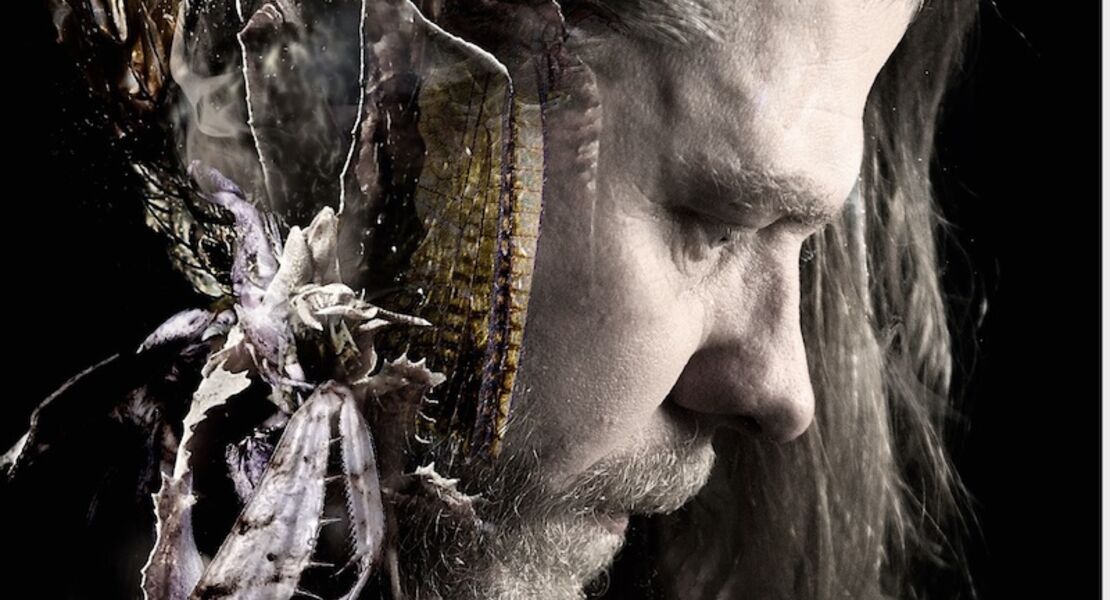 diary-of-dreams-tour-2026