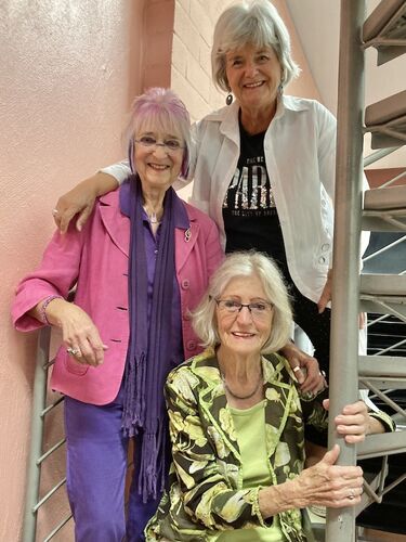 monika-kampmann-ingrid-ittel-fernau-und-elfi-steickmann-die-wilden-alten