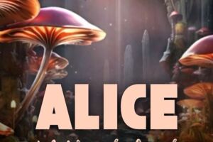 Seehasenfest Festaufführung 2026: Alice im Wunderland - Alice im Wunderland