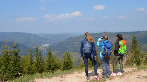 gefuhrte-wanderung-neusatz-schielberg-bad-herrenalb