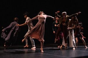 Compagnie Virginie Brunelle