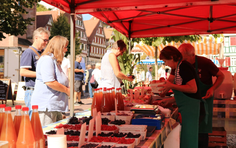 naturpark-markt-25-jahre-naturpark-trifft-950-jahre-calw