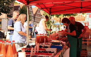 Naturpark-Markt Calw