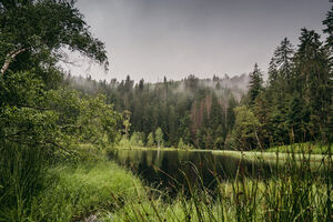 Rangerführung zum Buhlbachsee