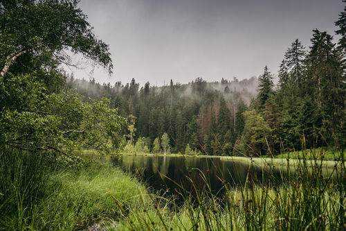 rangerfuhrung-zum-buhlbachsee