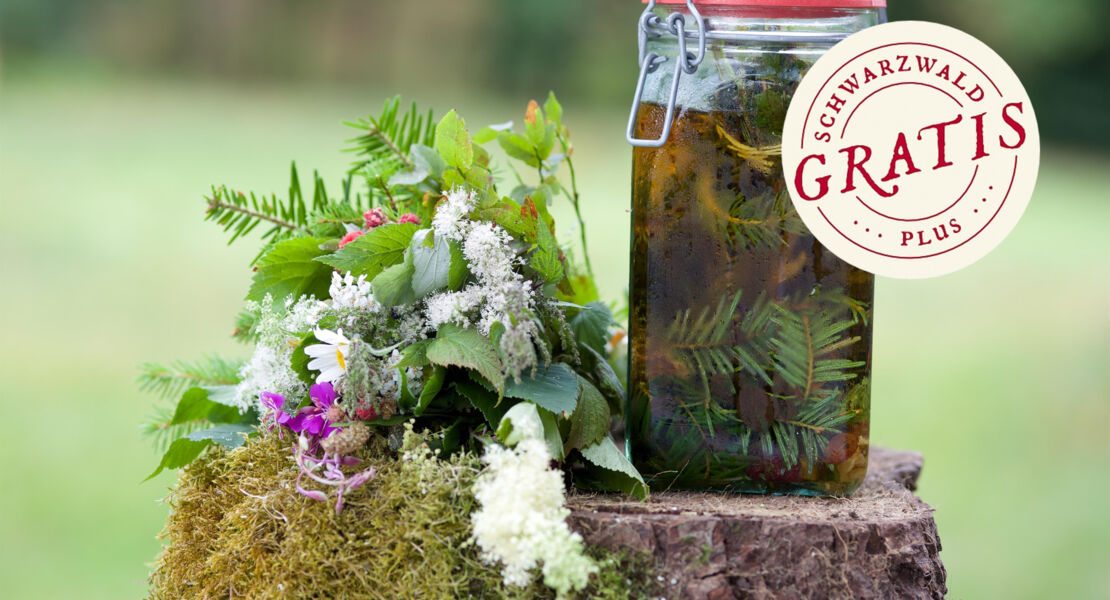 kulinarische-wildpflanzenwanderung-mitteltal